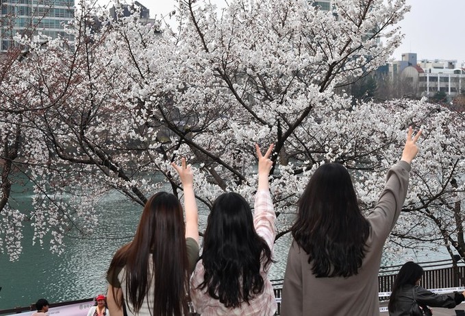 서울의 봄, 석촌호수에서 시작한다.